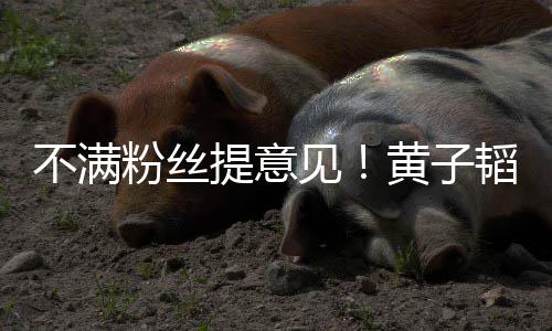 不满见们的文怒怼黄子提意韬连听你粉丝发多从没