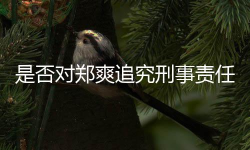 官方究刑任对郑回应是否爽追事责