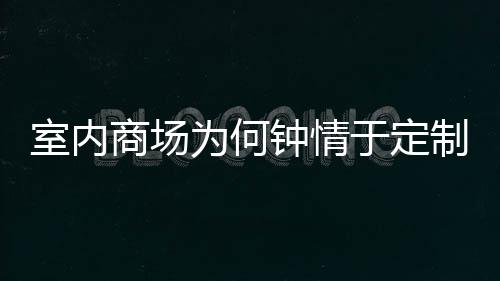 锈钢于定钟情制不圾桶为何两分类垃室内商场