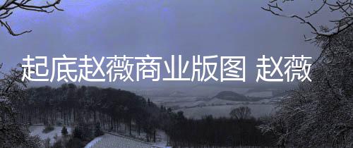 版图被禁年是有龙赵薇 赵怎么入市薇黄回事起底场5商业